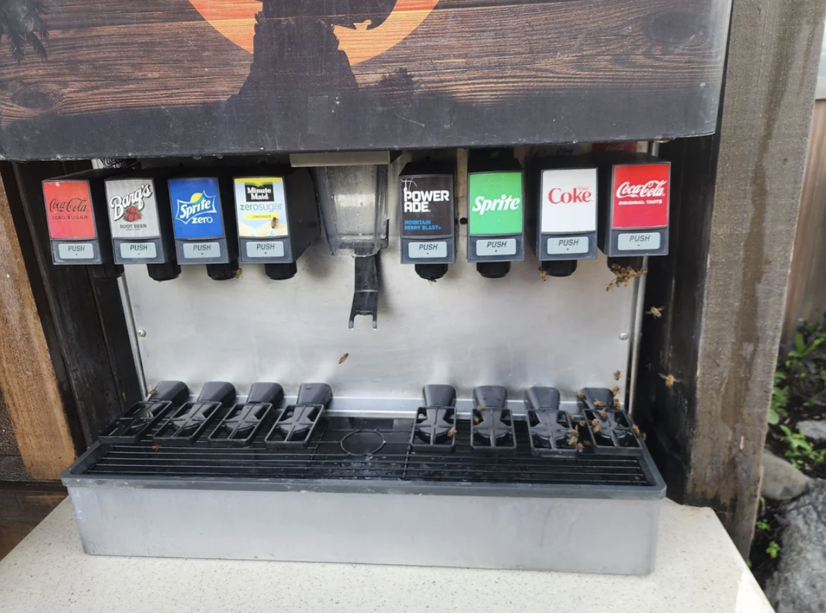 vending machine - CocaCola Borg's Sprite zero Power Ade Sprite Coke CocaCola Fush